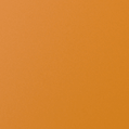 RAL1007